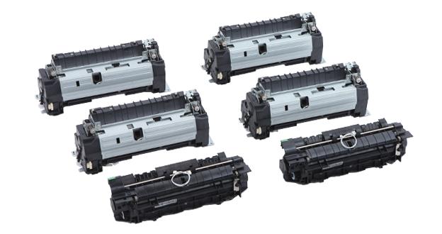 Fuser Assembly